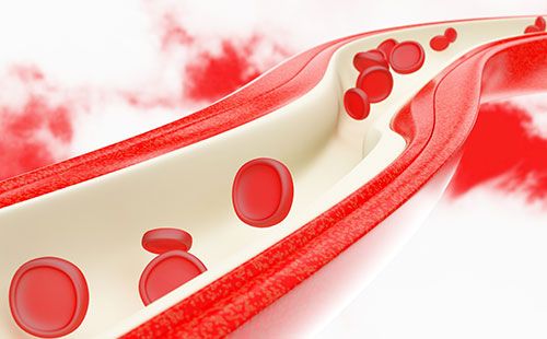 動脈硬化檢測儀