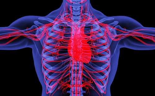 心率變異分析儀