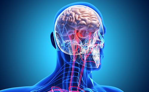 動脈硬化檢測儀