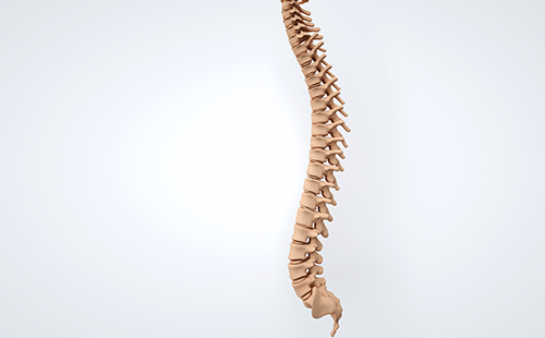 動(dòng)脈硬化檢測儀