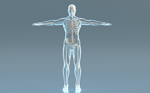 動(dòng)脈硬化檢測儀