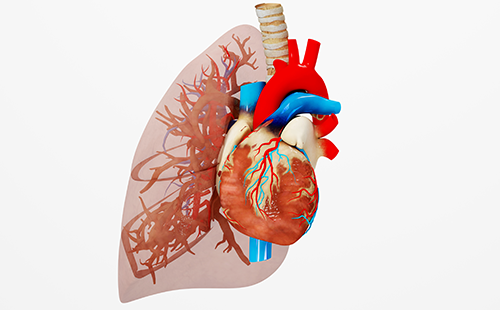 動(dòng)脈硬化檢測儀