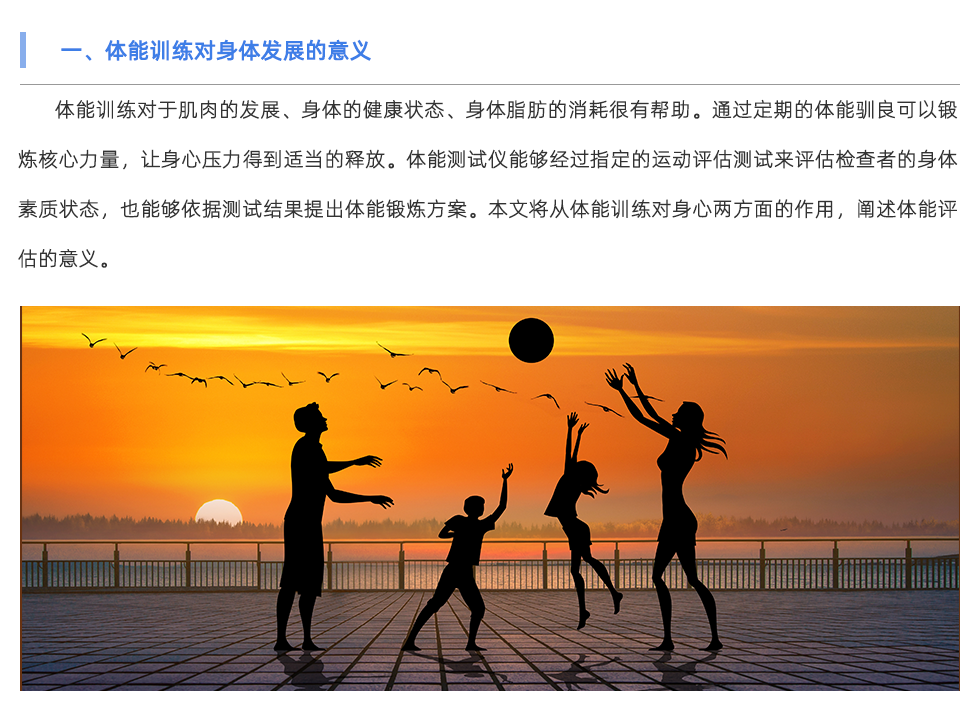 體能測(cè)試儀