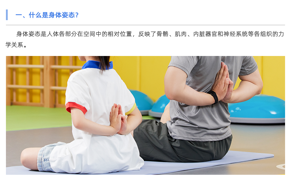 身體姿態(tài)檢測儀