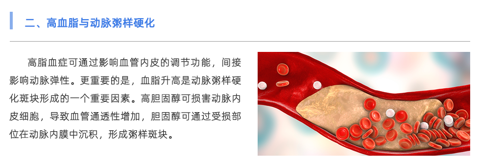 動(dòng)脈硬化檢測儀