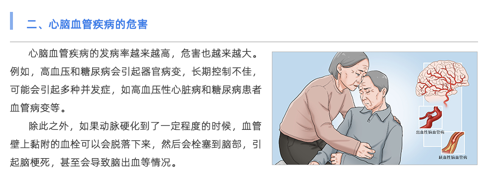 脈搏波速測(cè)定儀