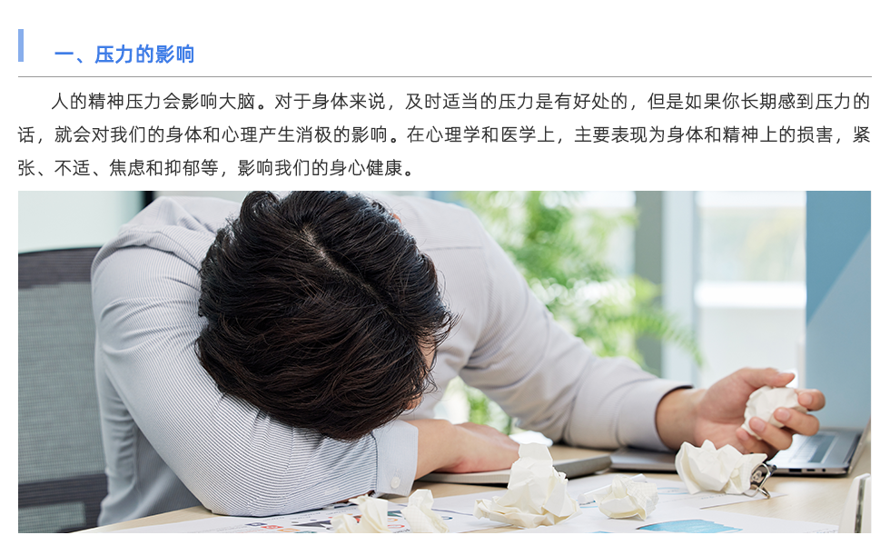 心率變異檢測儀