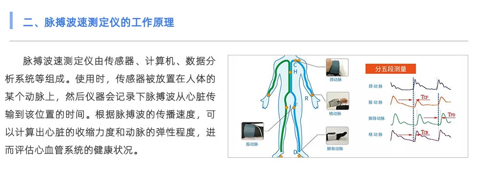 脈搏波速測(cè)定儀