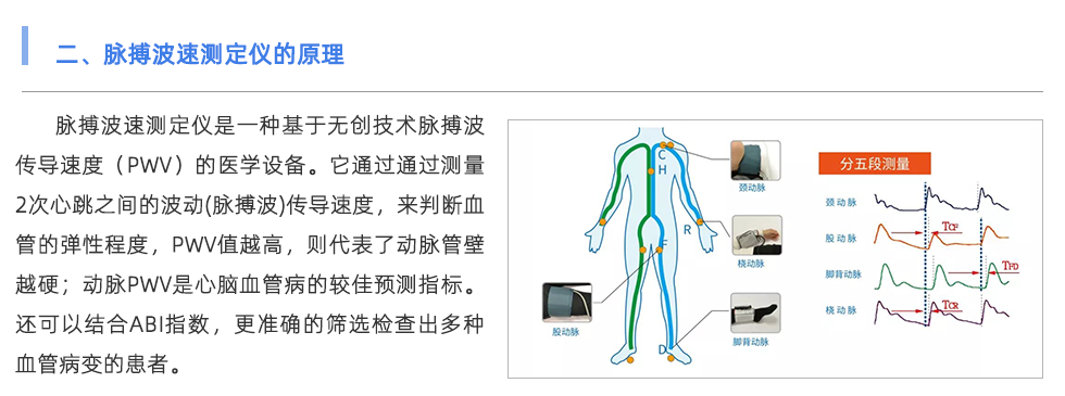 脈搏波速測(cè)定儀