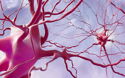 足底壓力測試儀