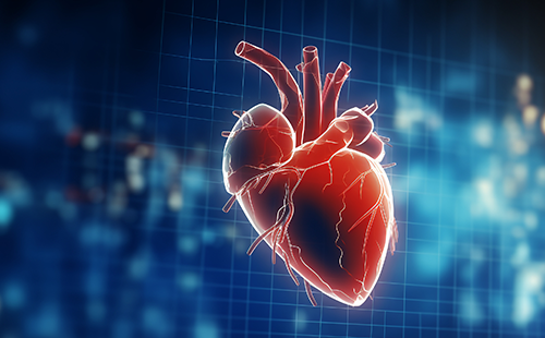 脈搏波速測(cè)定儀