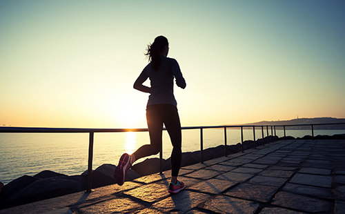 體能檢測(cè)儀